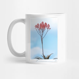 Tall Flowering Aloe Mug